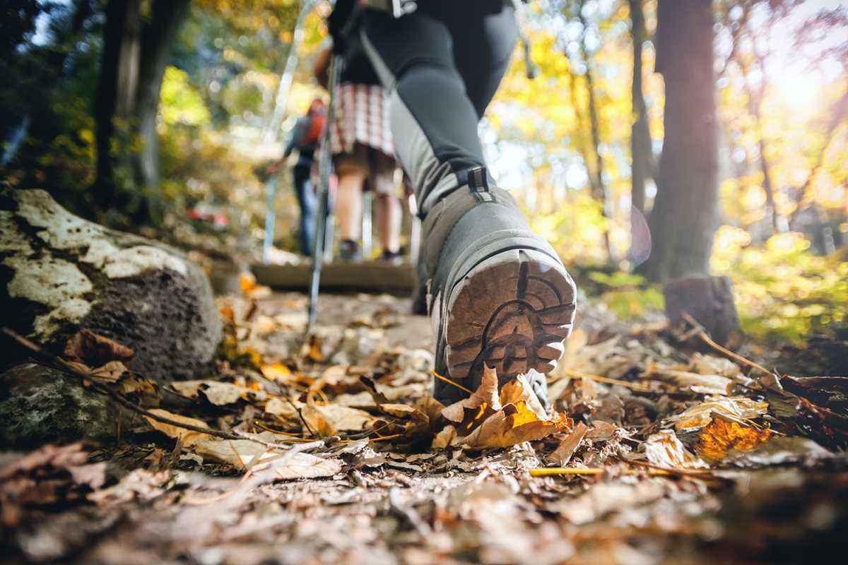 Wybór odpowiednich butów trekkingowych damskich - klucz do sukcesu na szlaku