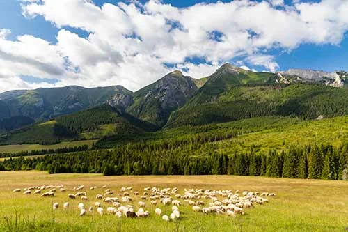 Zakopane i Tatry