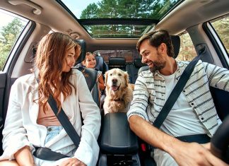 Rodzina w samochodzie z psem jedzie na wycieczkę
