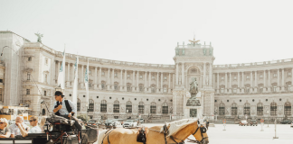 Odkryj Wiedeń. Co warto zobaczyć w stolicy Austrii?